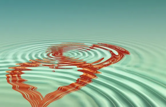 Casigo Casinò Supporto